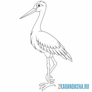 Онлайн раскраска птица белый аист