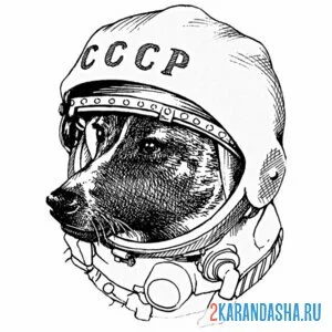 Раскраска белка стрелка первые собаки в космосе онлайн