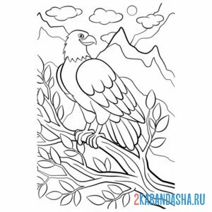 Раскраска орел на ветке дерева онлайн