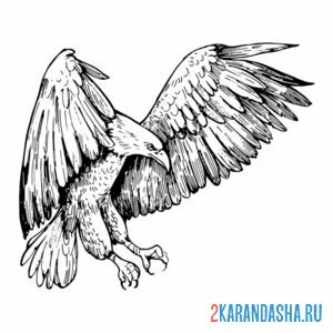 Раскраска орел приземляется онлайн