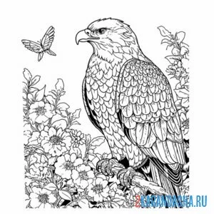 Раскраска орел в цветах онлайн