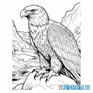 Раскраска орел на камне онлайн