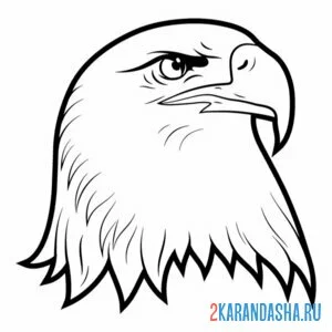 Раскраска голова орла онлайн