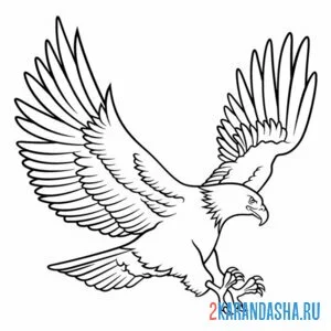 Раскраска орел большая птица онлайн