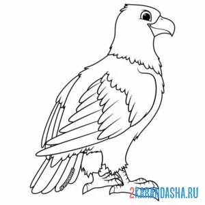 Раскраска большая птица орел онлайн