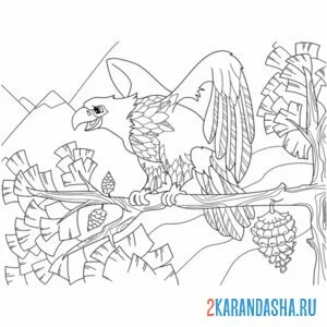 Раскраска орел в лесу на ветке онлайн