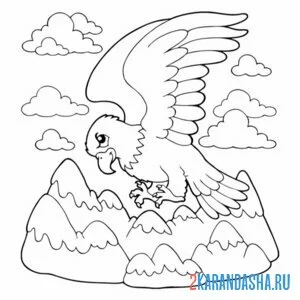 Раскраска орел парит в облаках онлайн