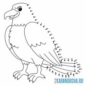 Раскраска обведи орла онлайн