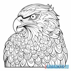 Раскраска антистресс птица орел онлайн