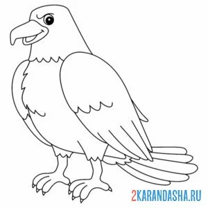 Раскраска орел самец онлайн