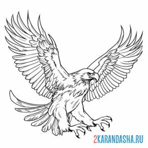 Раскраска орел сильная птица онлайн
