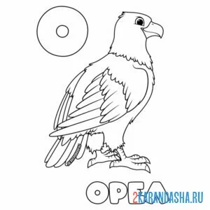 Раскраска буква о орел онлайн