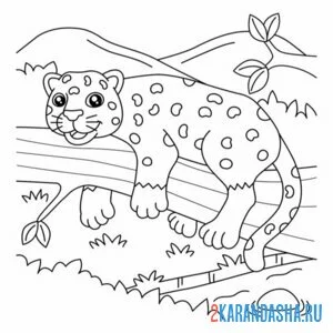 Раскраска гепард в зоопарке онлайн