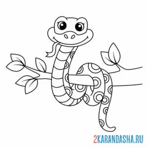 Раскраска змея в зоопарке онлайн