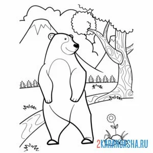 Раскраска медведь в зоопарке онлайн