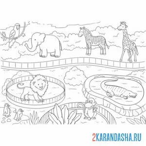 Онлайн раскраска зоопарк вольеры