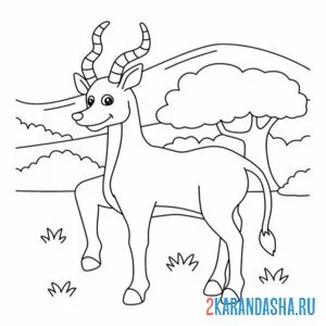 Раскраска антилопа из зоопарка онлайн