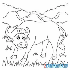 Распечатать раскраску бифало бык зоопарк на А4