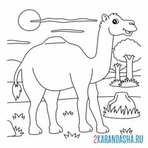Распечатать раскраску верблюд из зоопарка на А4