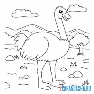 Раскраска страус в зоопарке онлайн