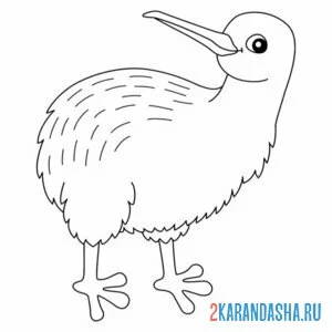 Раскраска киви птичка зоопарк онлайн