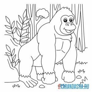 Распечатать раскраску горилла в зоопарке на А4