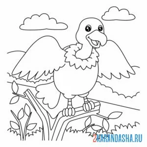 Раскраска стервятник птица зоопарк онлайн