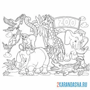 Распечатать раскраску зоопарк любимые животные на А4