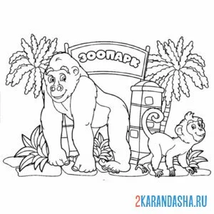 Распечатать раскраску горилла у зоопарка на А4
