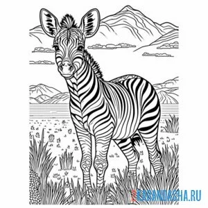 Раскраска зебра сафари онлайн
