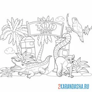 Раскраска зоопарк редкие животные онлайн