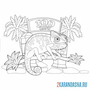 Раскраска зоопарк хамелеон онлайн