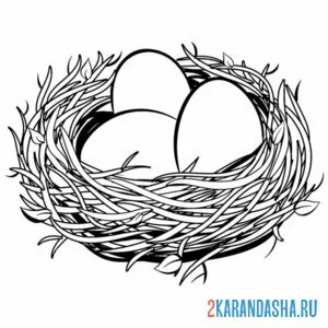 Раскраска гнездо с яичками онлайн