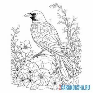 Раскраска сорока птица цветы онлайн