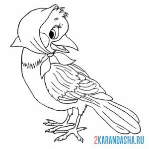 Раскраска птичка сорока-белобока онлайн