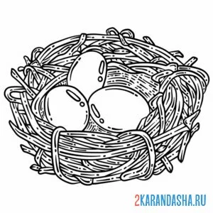 Онлайн раскраска гнездо и веточек с яичками