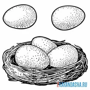 Распечатать раскраску три больших яйца в гнезде на А4