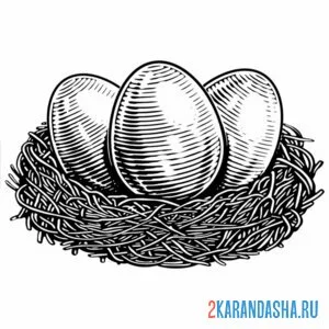 Распечатать раскраску золотые яйца в гнезде на А4