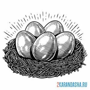 Раскраска пять яиц в гнезде онлайн