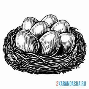 Раскраска много яиц в гнезде онлайн