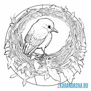Раскраска красивое гнездо и птичка онлайн