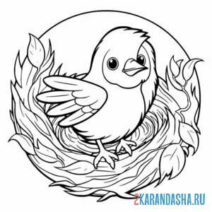 Раскраска птица и круглое гнездо онлайн