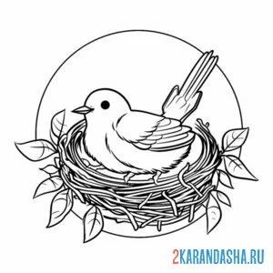 Раскраска птичка высиживает яйцо в гнезде онлайн