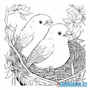 Распечатать раскраску две птички в гнезде на А4
