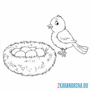 Раскраска птичка снесла яйца в гнезде онлайн
