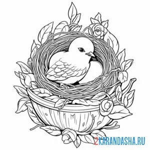 Раскраска птенчик и яйцо в гнезде онлайн