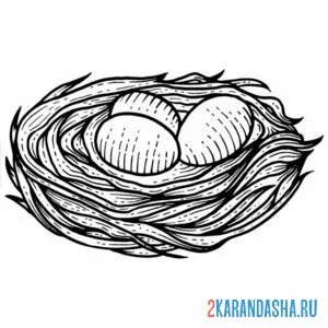 Раскраска в гнезде яйца онлайн