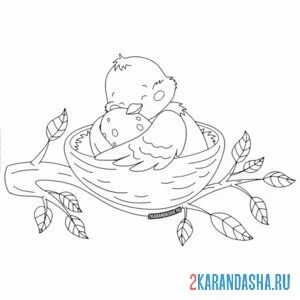 Раскраска мама птичка в гнезде с яйцом онлайн