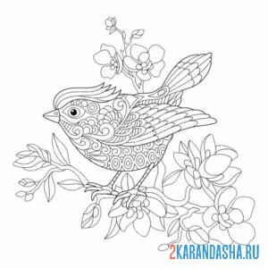 Раскраска птичка антистресс сакура онлайн