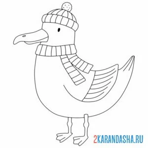 Раскраска чайка в шарфике онлайн